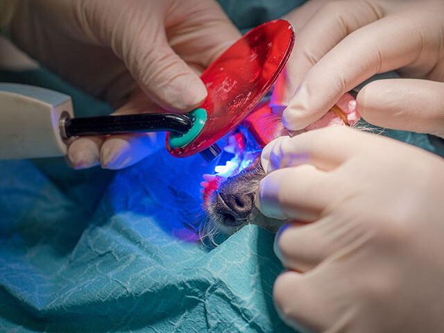 Laser Surgery