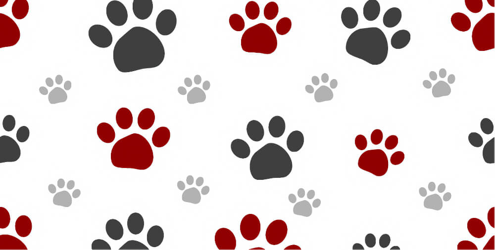 Columbia Veterinary Hospital